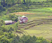 DAY 3:- PELLING LOCAL SIGHTSEEING