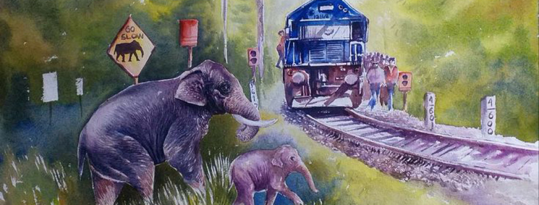 Elephant Crossing The Railway Track 